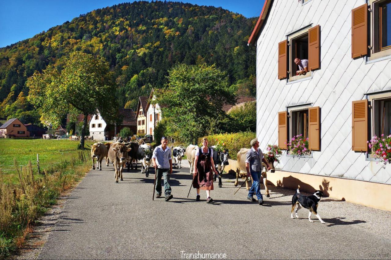 Villa Le Chalet du Silberrain à Osenbach - Luxe, charme et authenticité Exterior foto