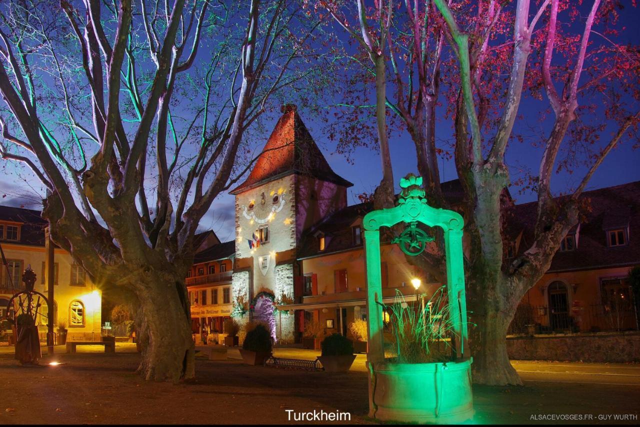 Villa Le Chalet du Silberrain à Osenbach - Luxe, charme et authenticité Exterior foto