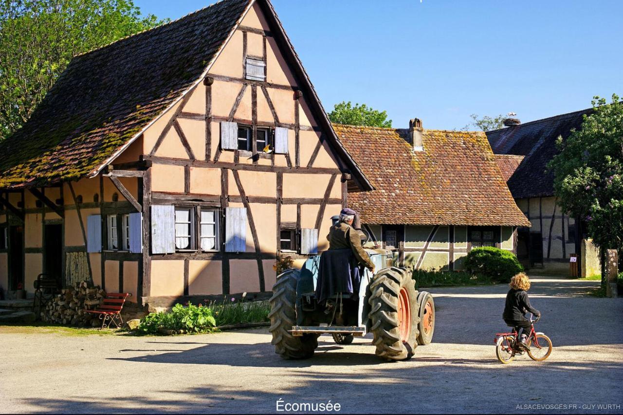 Villa Le Chalet du Silberrain à Osenbach - Luxe, charme et authenticité Exterior foto