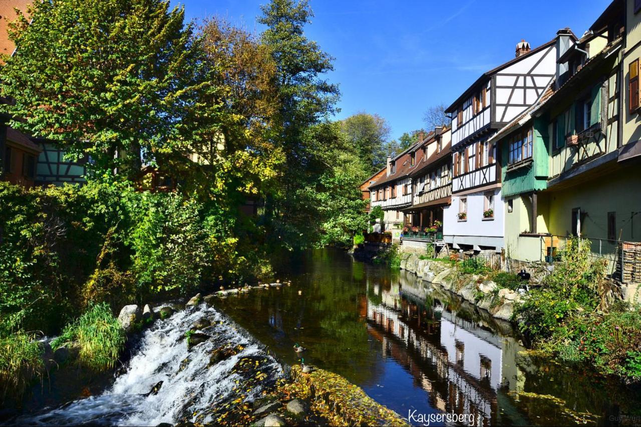 Villa Le Chalet du Silberrain à Osenbach - Luxe, charme et authenticité Exterior foto